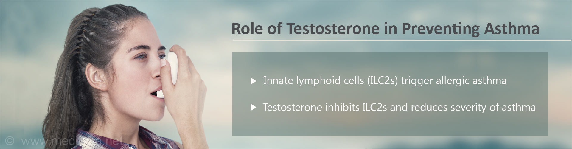 Role of Testosterone in Preventing Asthma
- Innate lymphoid cells (ILC2s) trigger allergic asthma
- Testosterone inhibits ILC2s and reduces severity of asthma