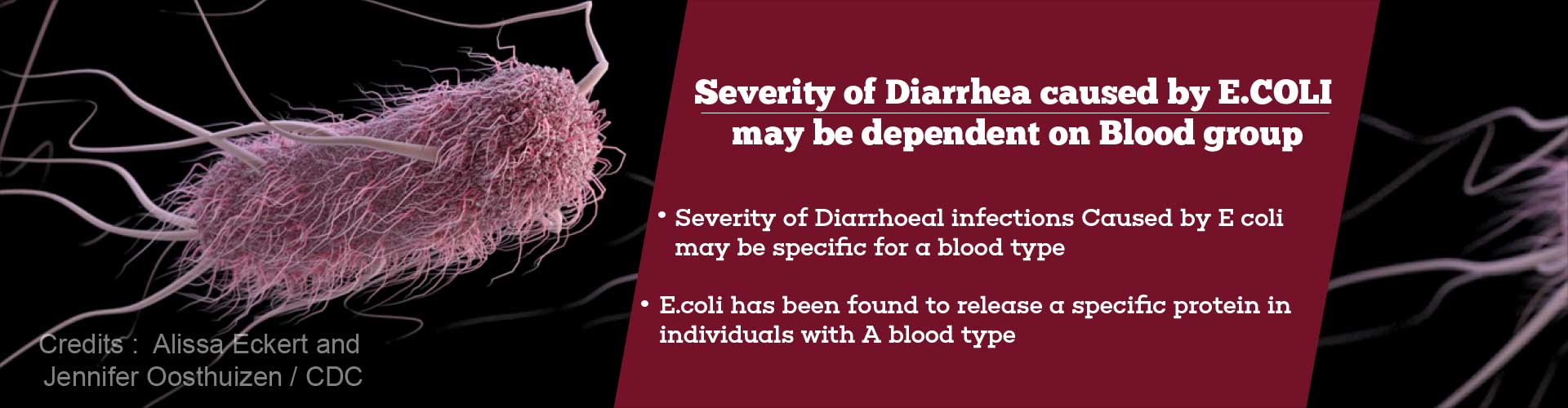 severity of diarrhea caused by ecoli may be dependent in blood group
- severity of diarrheal infections caused by ecoli may be specific for a blood type
- ecoli has been found to release a specific protein in individuals with a blood type