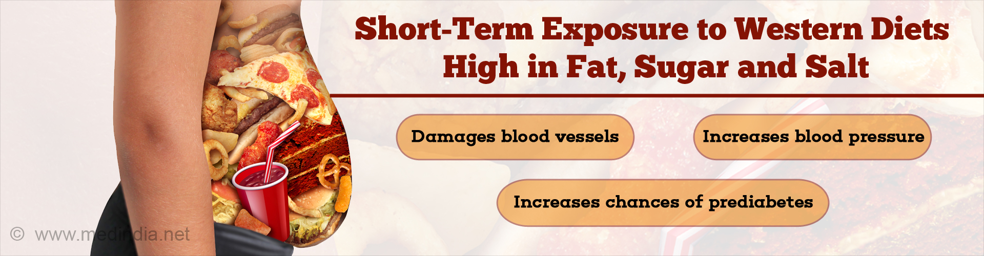 Western Diets High in Fat and Sugar Can Trigger Prediabetes