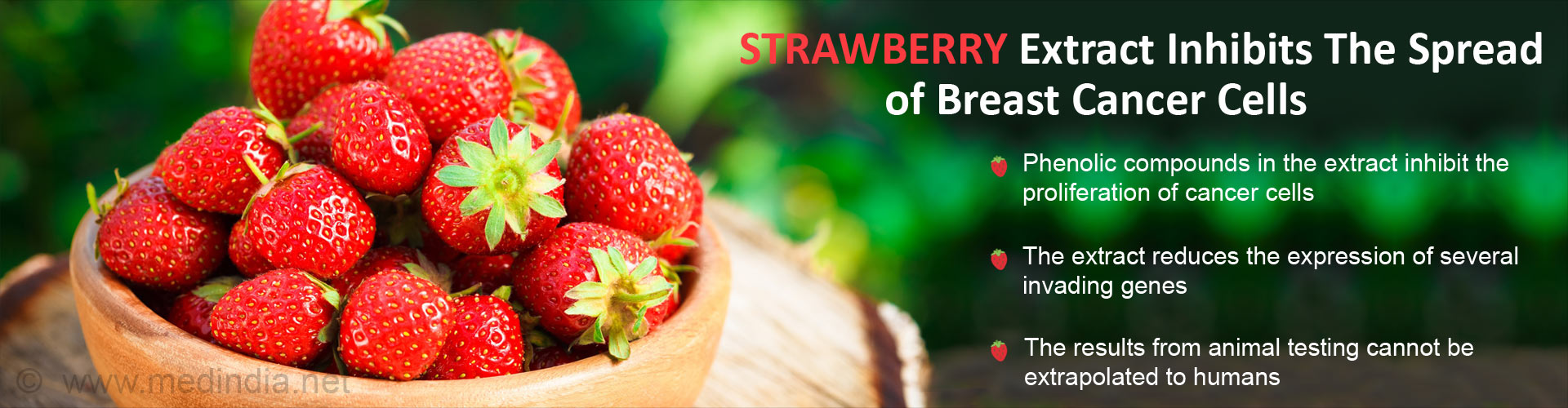 the Benefits of Strawberry Extract to Reduce Spread of Breast Cancer Cells