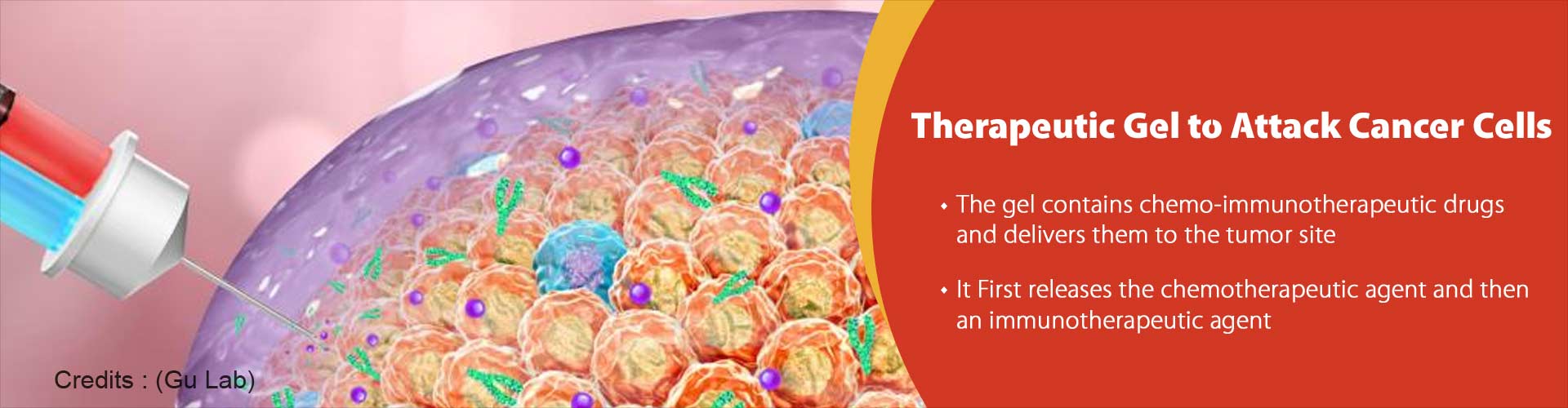 therapeutic gel to attack cancer cells
- the gel contains chemo-immunotherapeutic drugs and delivers them to the tumor site
- It first releases the chemo-immunotherapeutic  agent and then an immunotherapeutic agent