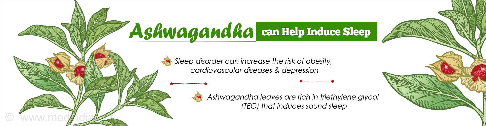 Ashwagandha Can Help Induce Sleep
- Sleep disorder can increase the risk of obesity, cardiovascular diseases & depression
- Ashwagandha leaves are rich in triethylene glycol (TEG) that induces sound sleep
