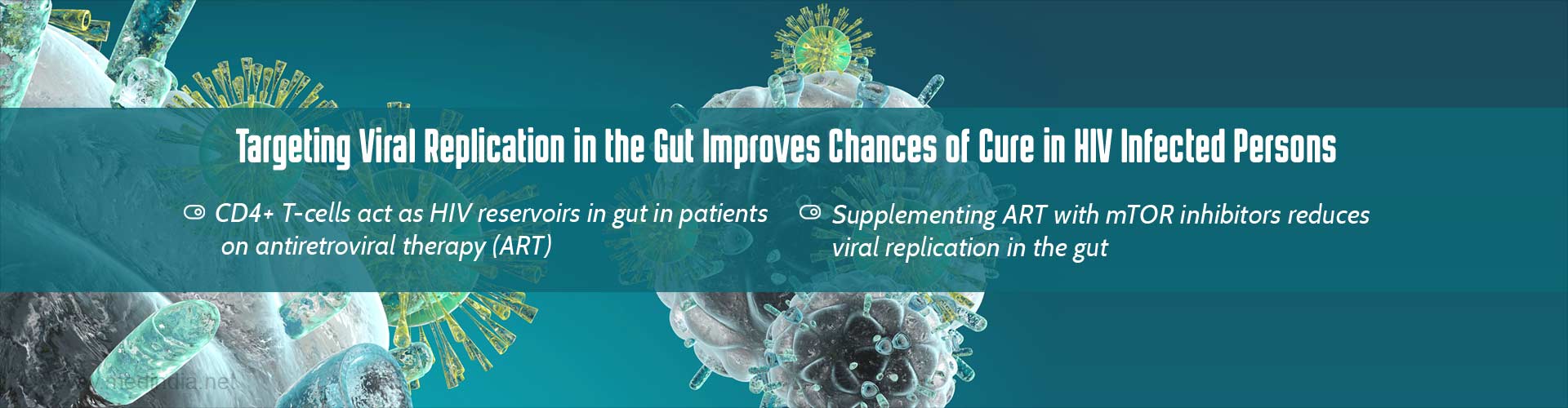 Targeting viral replication in the gut improves chances of cure in HIV infected persons
- CD4+ T-cells act as HIV reservoirs in gut in patients on antiretoviral therapy (ART)
- Supplementing ART with mTOR inhibitors reduces viral replcation in the gut
