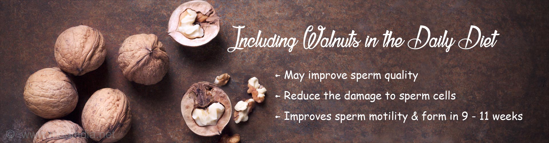 including walnuts in the daily diet
- may improve sperm quality
- reduce the damage to sperm cells
- improves sperm motility and form in 9-11 weeks 