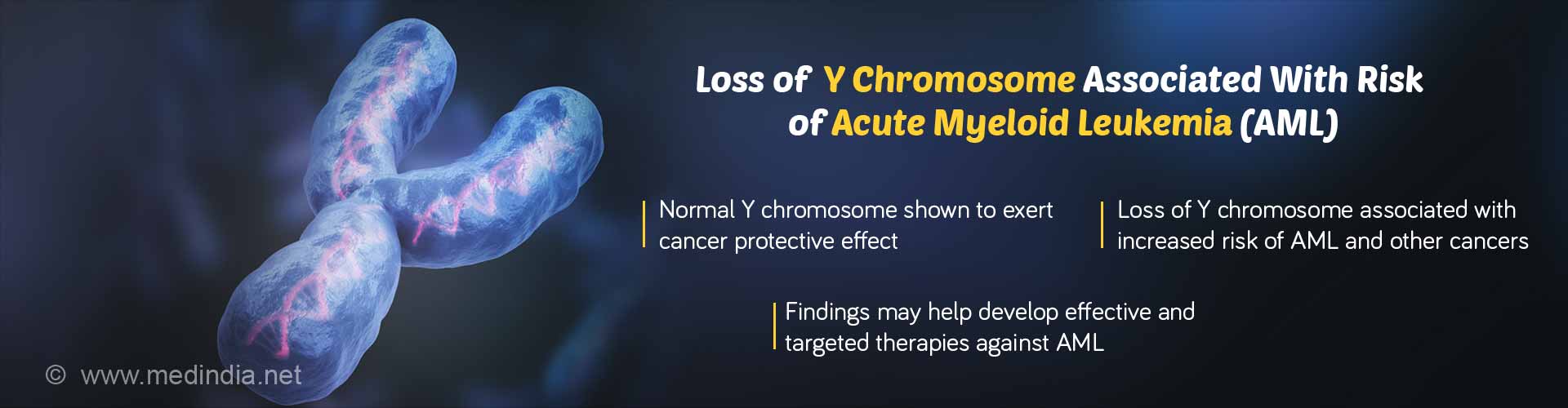 Loss of Y Chromosome Associated With Risk of Acute Myeloid Leukemia (AML)
Normal Y chromosome shown to exert cancer protective effect
Loss of Y chromosome associated with increased risk of AML and other cancers
Findings may help develop effective and targeted therapies against AML