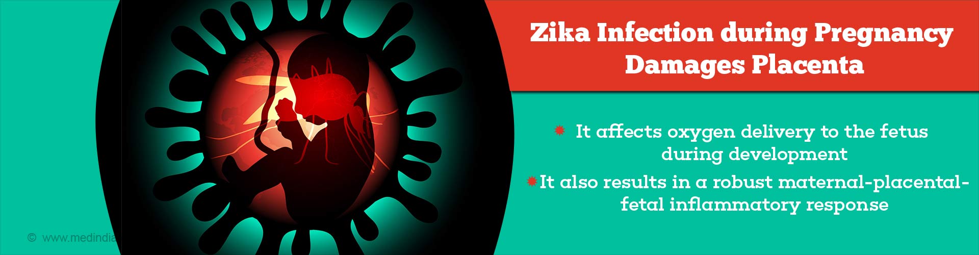 Zika Infection during Pregnancy Damages Placenta
- It affects oxygen delivery to the fetus during development
- It also results in a robust maternal-placental fetal inflammatory response

