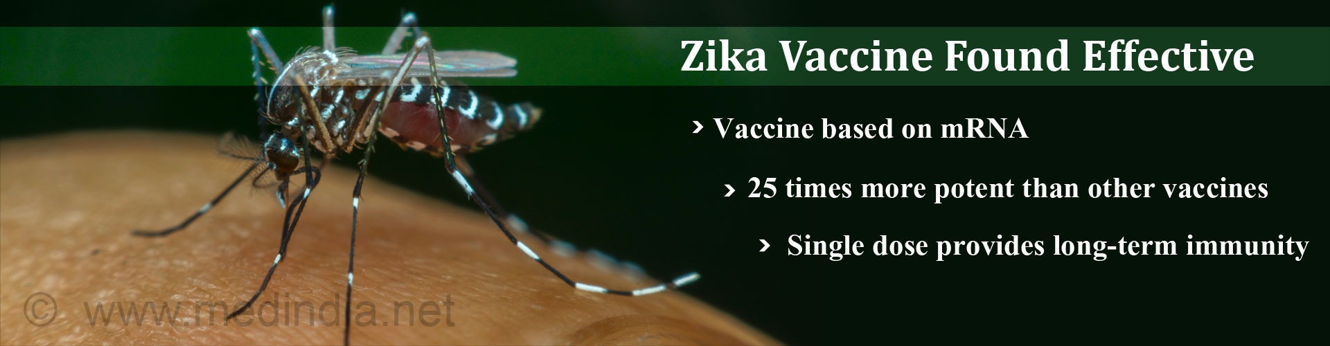 Zika Vaccine Found Effective
- Vaccine based on mRNA
- 25 times more potent then other vaccines
- Single dose provides long-term immunity