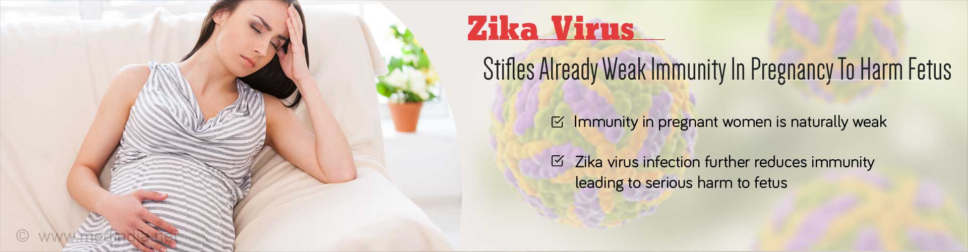 Zika virus stifles already weak immunity in pregnancy to harm fetus
- Immunity in pregnant women is naturally weak
- Zika virus infection further reduces immunity leading to serious harm to fetus