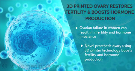 Breakthrough 3D Printed Ovary Boosts Fertility