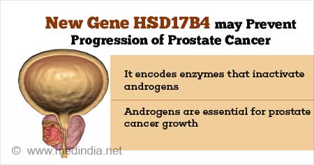 New Gene may help Prevent Prostate Cancer