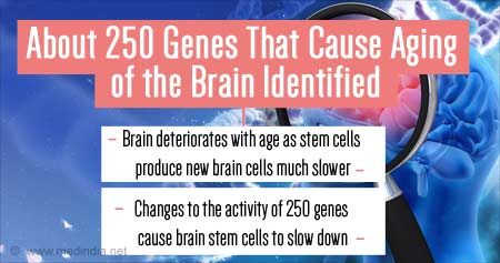 Genes That Cause Aging of Brain
