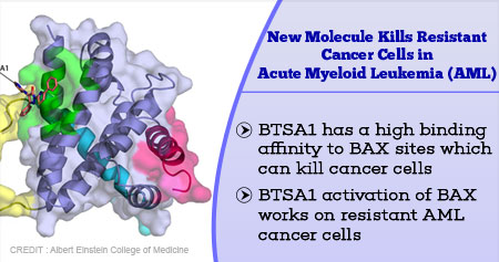 New Molecule that Kills Resistant Cancer Cells in Acute Myeloid Leukemia