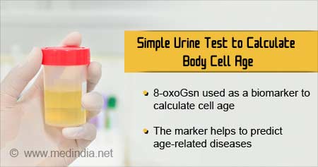 Simple Urine Test to Calculate Body Cell Age