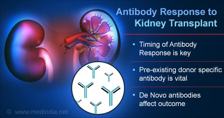 How Time of Antibody Response Is Key in Kidney Transplant
