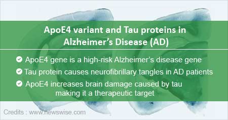 New Role of Apolipoprotein E4 Variant in Alzheimers Disease 