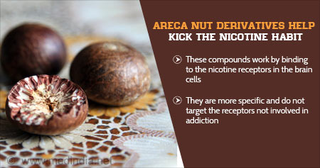 How Areca Nut Can Help Smokers Kick The Habit