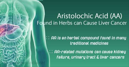 Herbal Remedies that Contain Aristolochic Acid May Cause Liver Cancer