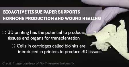 Bioactive Tissue Paper Potential in Regenerative Medicine