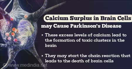 Calcium Surplus in Brain Cells may Cause Parkinson's Disease