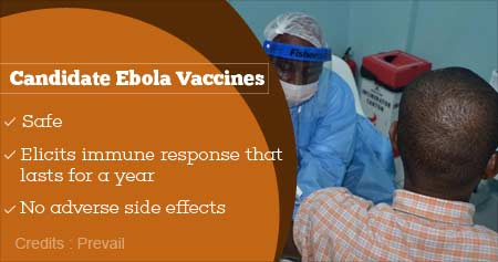 Phase 2 Trials of Two Candidate Ebola Vaccines