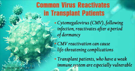 Common Virus Reactivates After Transplantation: Here's How
