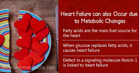 How Metabolic Changes Can Cause Heart Failure