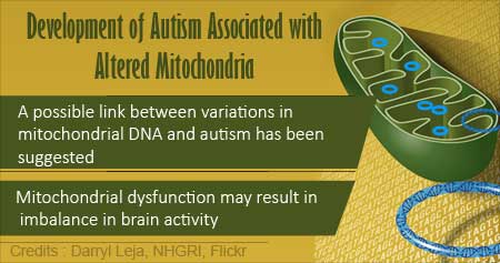 Mitochondrial Patterns Link With Autism