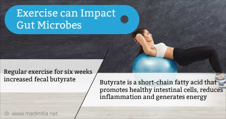 Aerobic Exercise Can Impact Gut Microbes
