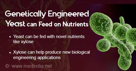 Genetically Engineered Yeast can Feed on Nutrients