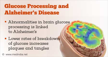 Glucose Processing in Brain Linked to Alzheimer's Disease