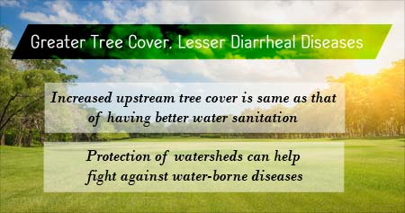 How Greater Tree Cover can Lessen Diarrheal Diseases in Children