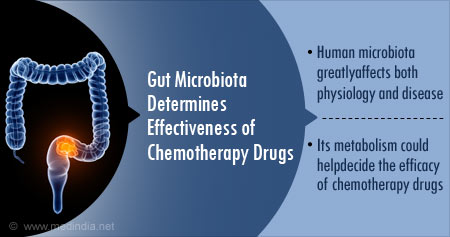 How Gut Microbiota Determines Effectiveness of Chemotherapy Drugs