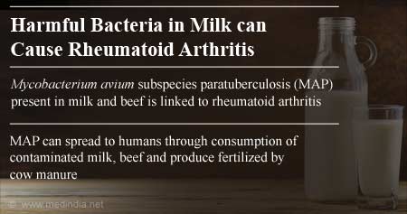 Bacteria in Milk may cause Rheumatoid Arthritis
