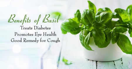 Fantastic Ways That Basil Helps Keep You Healthy
