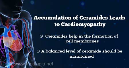Accumulation of Ceramides May Lead to Cardiomyopathy