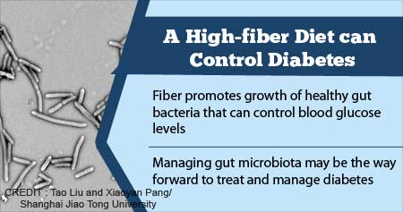 High-fiber Diet can Control Type 2 Diabetes