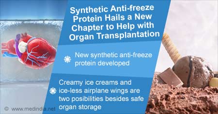 Synthetic Anti-freeze Protein for Organ Transplantation