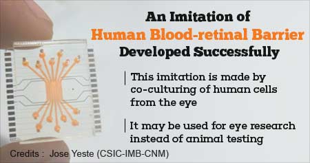 Imitation of Blood-retinal Barrier to Reduce Animal Testing