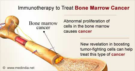 Immunotherapy to Fight Bone Marrow Cancer