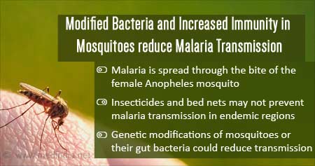 Genetic Approaches to Reduce Malaria Transmission by Mosquitoes