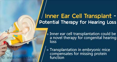 Potential Therapy for Hearing Loss