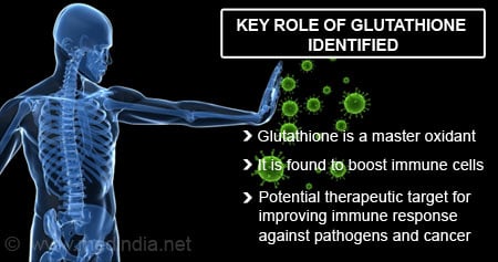 Glutathione and immune function