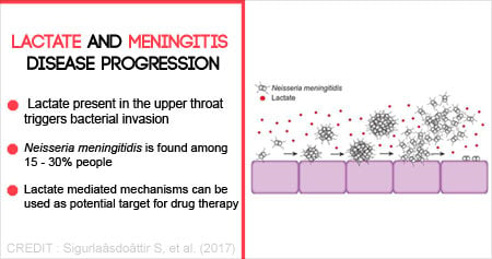 How Lactate Triggers Meningitis Progression