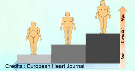 Apple-shaped Body Puts Postmenopausal Women at Risk of Heart Disease