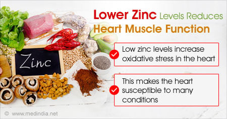 How Zinc Deficiency Affects Heart Muscles