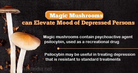 Magic Mushrooms can Lift Persons From Depressed Mood