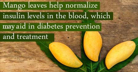 the Amazing Benefits of Mango Leaves