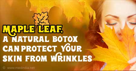 Maple Leaf Extract May Prevent Wrinkles
