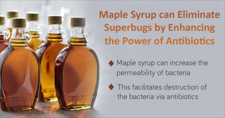 Enhancing Antibiotic Action Naturally with Maple Syrup