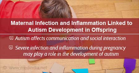 Possible Mechanisms of Autism Development